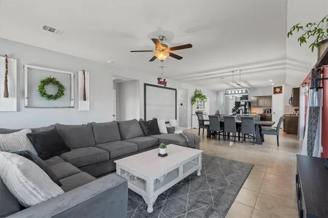 a living room with furniture potted plant and a ceiling fan