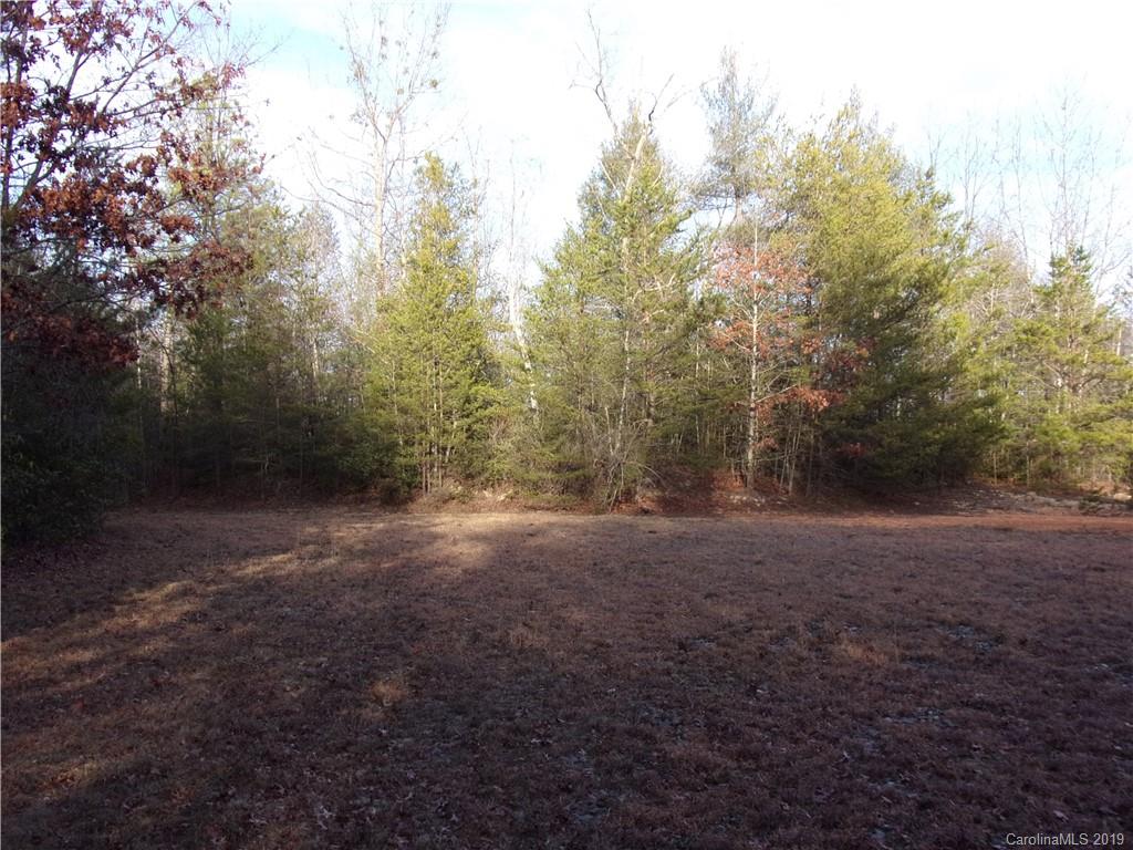 V/l Rose Creek Road Morganton, NC 28655 - Photo 4 of 5 Gallery Image 4