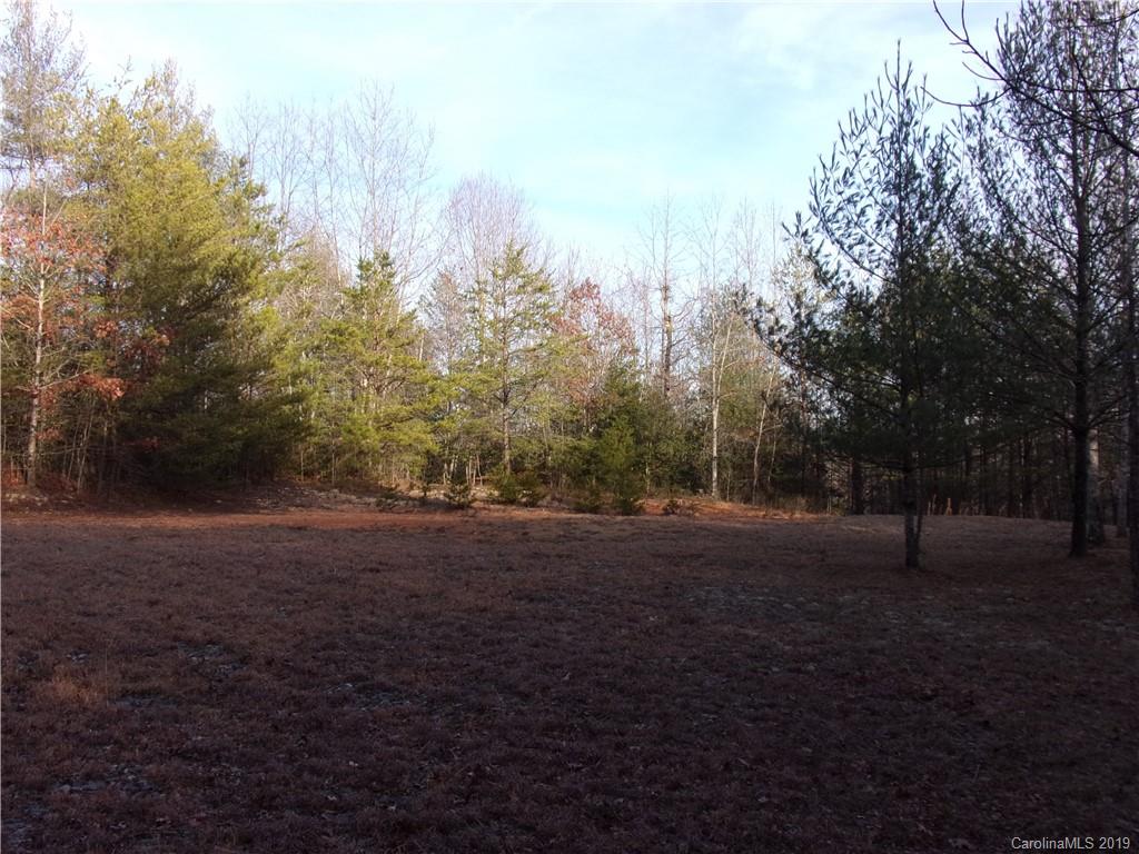 V/l Rose Creek Road Morganton, NC 28655 - Photo 5 of 5 Gallery Image 5