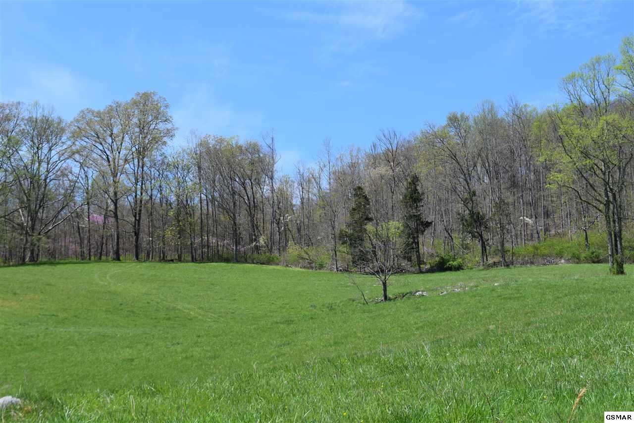 617 War Creek Road Eidson, TN 37731 - Photo 28 of 35