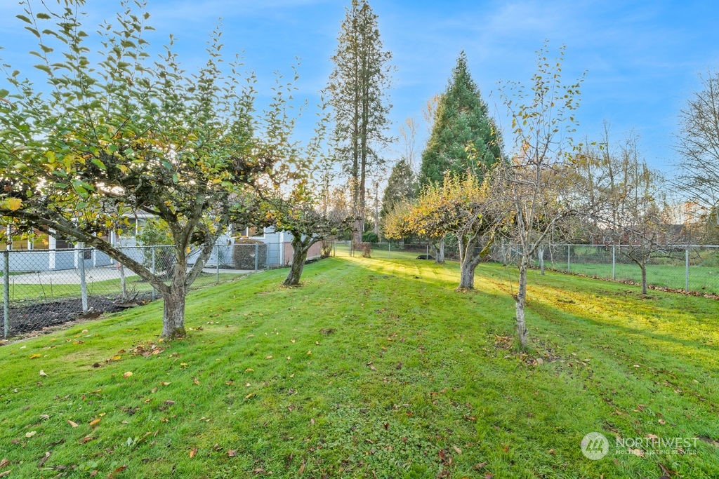 16303 Roosevelt Road Snohomish, WA 98290 - Photo 31 of 36 a view of a park with large trees