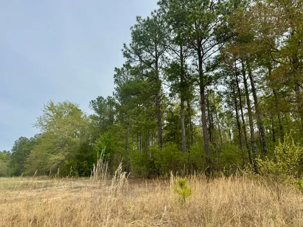 $300,000 | 0 Goose Platter Road, Batesburg, SC 29006