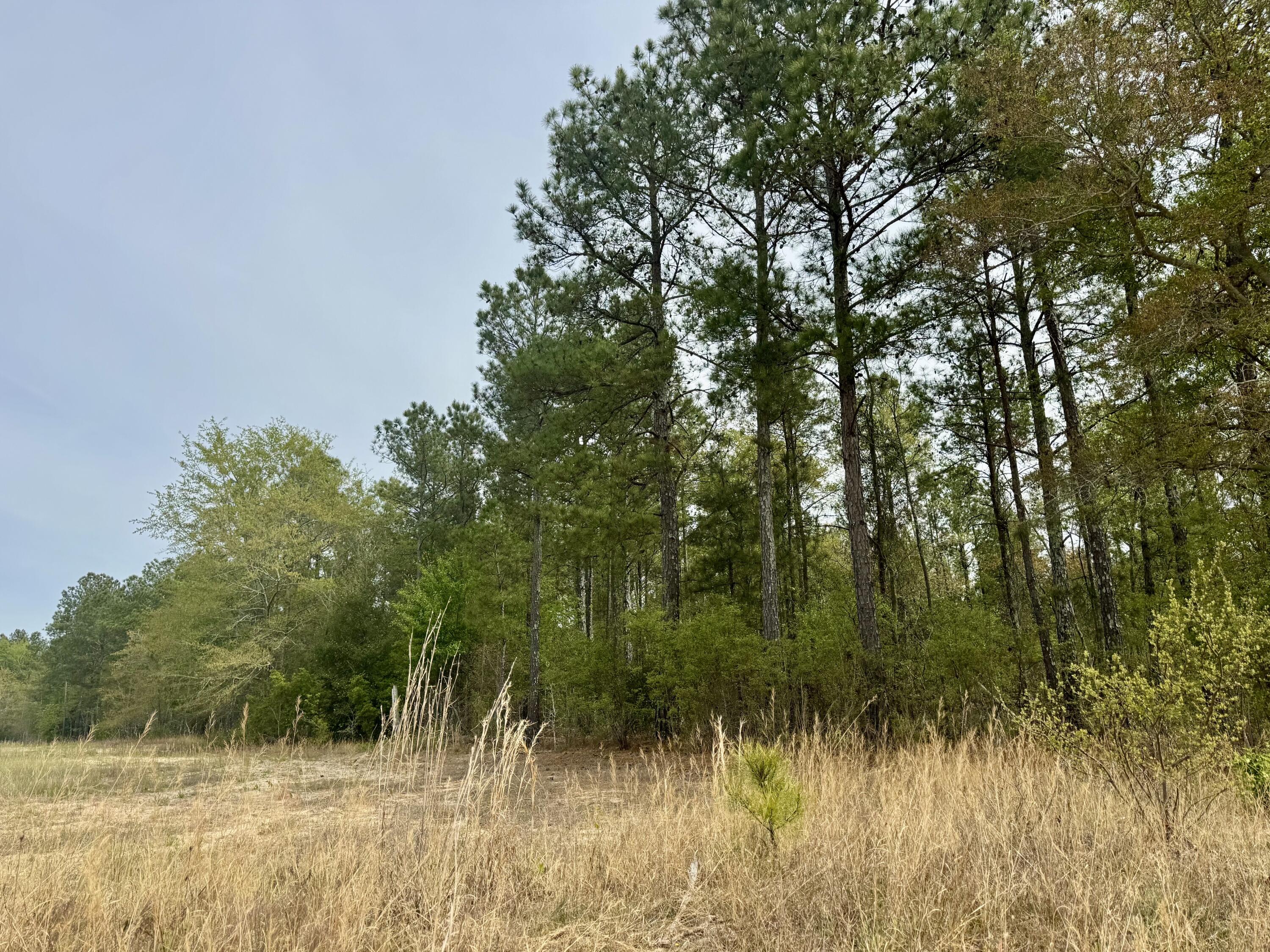 0 Goose Platter Road Batesburg, SC 29006 - Photo 1 of 4