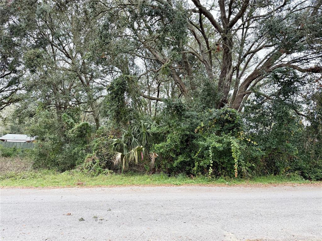 0 Hilda Road Dade City, FL 33523 - Photo 4 of 8 a view of a yard with a tree
