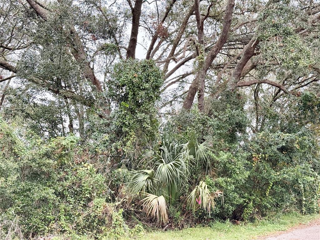 0 Hilda Road Dade City, FL 33523 - Photo 7 of 8 a view of a yard