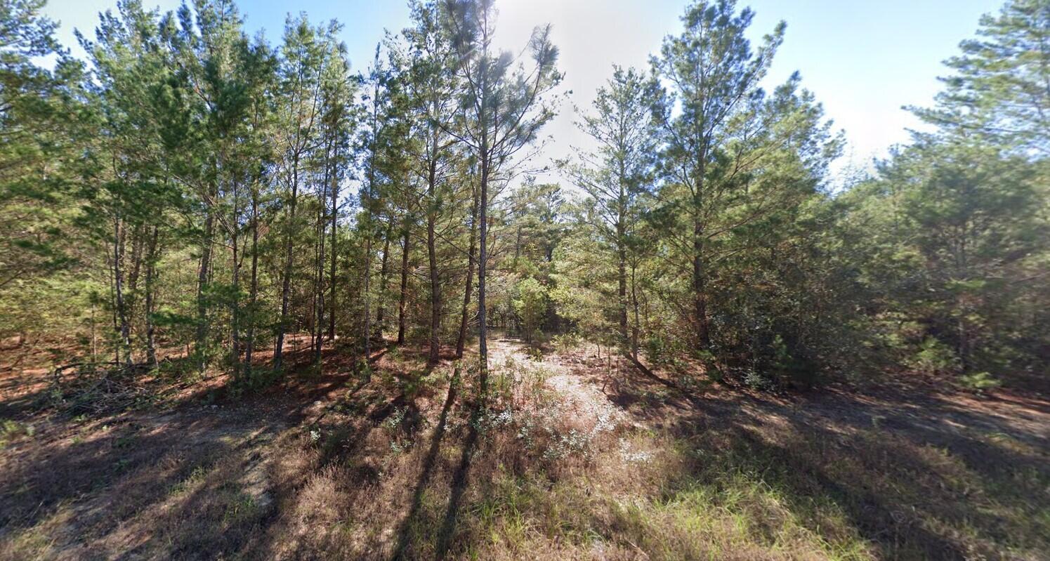 0 Meredith Place Chipley, FL 32428 - Photo 1 of 4 meredith2