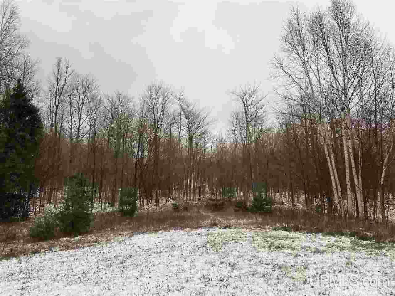21054 McGunn Creek Road Calumet, MI 49913 - Photo 26 of 49