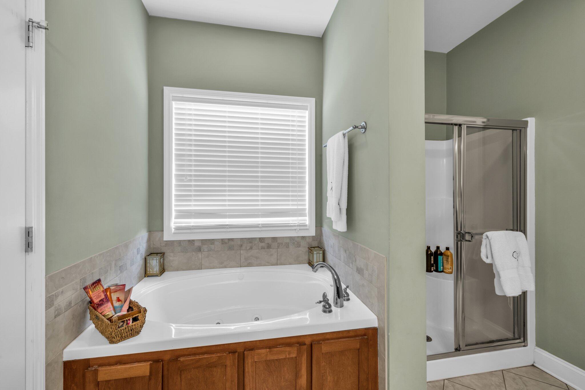 710 Windrush Loop Chattanooga, TN 37421 - Photo 18 of 28 Primary bath