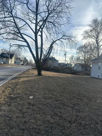 a view of dirt yard with a large tree