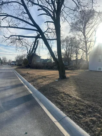 a view of a yard with a tree