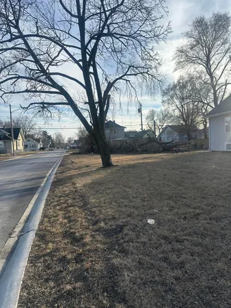 a view of a yard with plants and trees