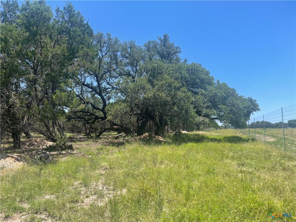 Lot 65 Estate View Circle Lampasas, TX 76550 - Photo 5 of 18 a view of a yard with a tree