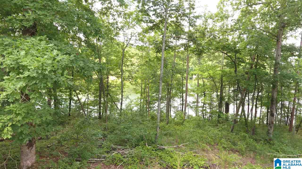 Firefly Lane, Unit 20 Lineville, AL 36266 - Photo 3 of 6