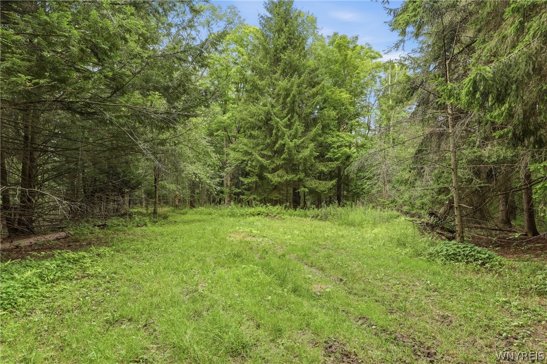 10788 Partridge Road Colden, NY 14080 - Photo 8 of 24