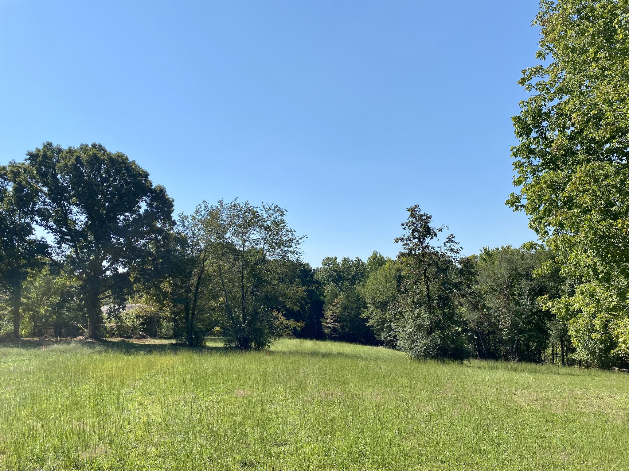 0 Lucas Road Dickson, TN 37055 - Photo 1 of 2 a view of a green field with trees in the background