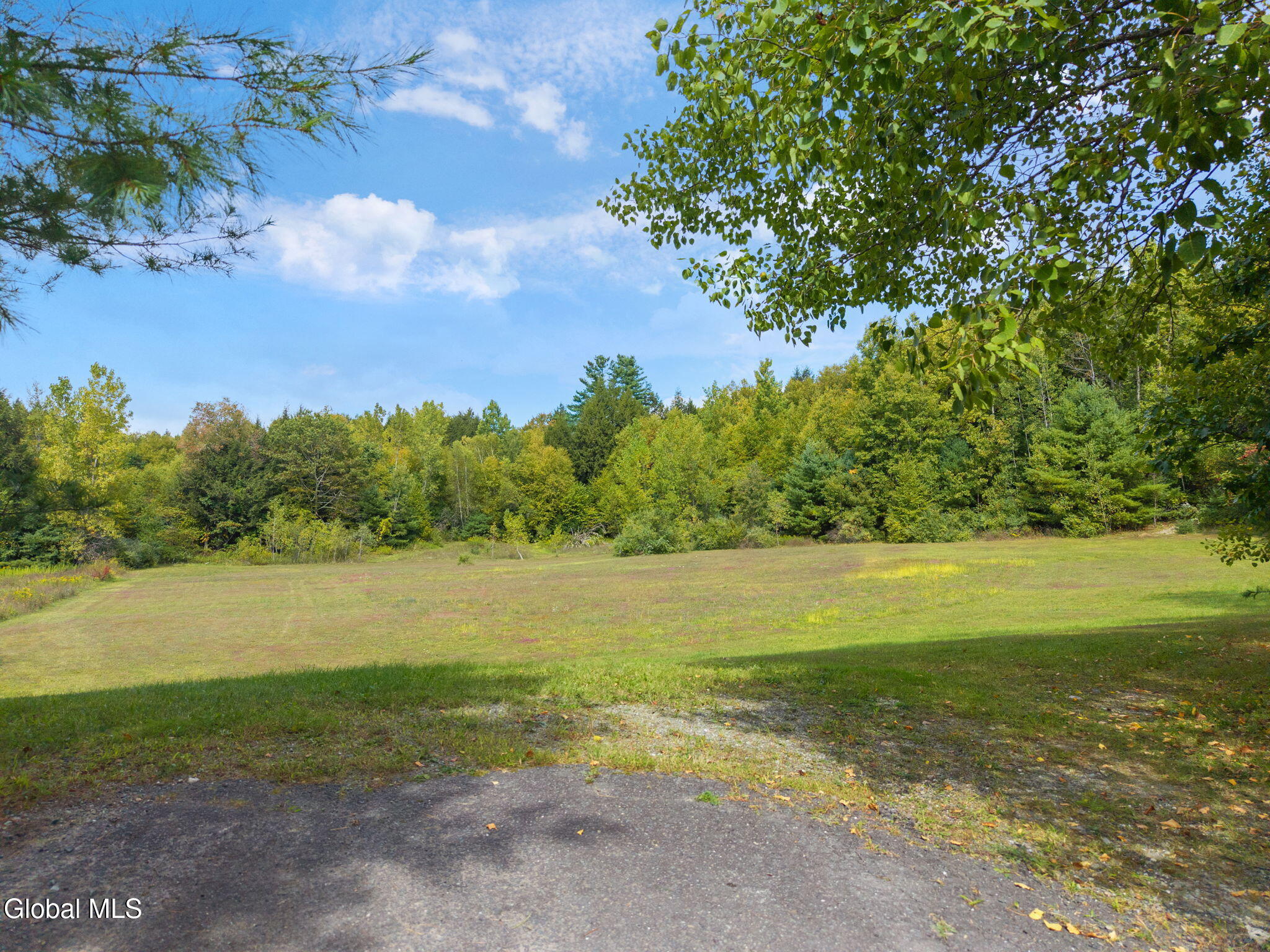 L113 Hemlock Ridge Way Stephentown, NY 12168 - Photo 3 of 11 2-00HemlockRidgeWay_02