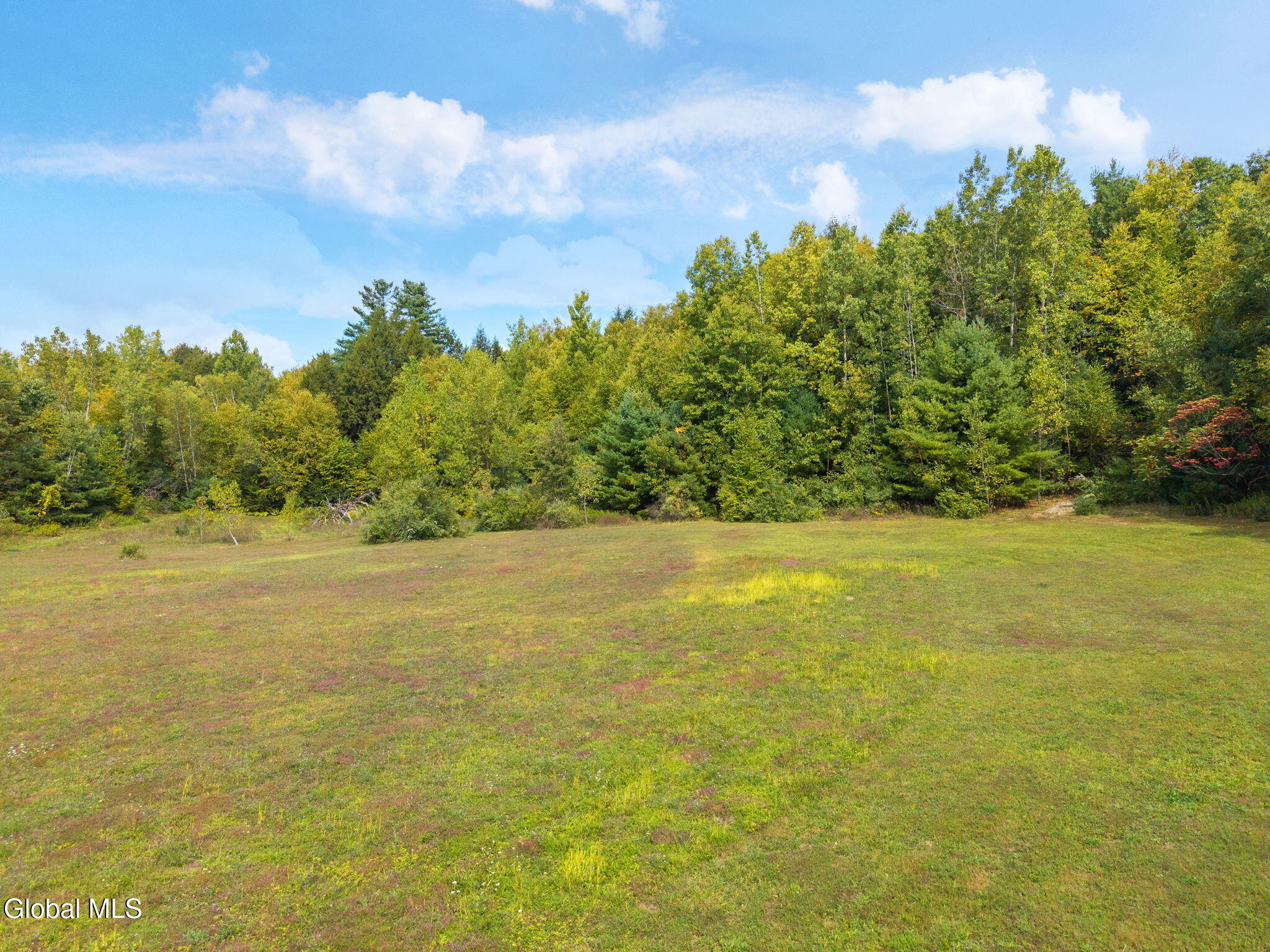 L113 Hemlock Ridge Way Stephentown, NY 12168 - Photo 4 of 11 3-00HemlockRidgeWay_03