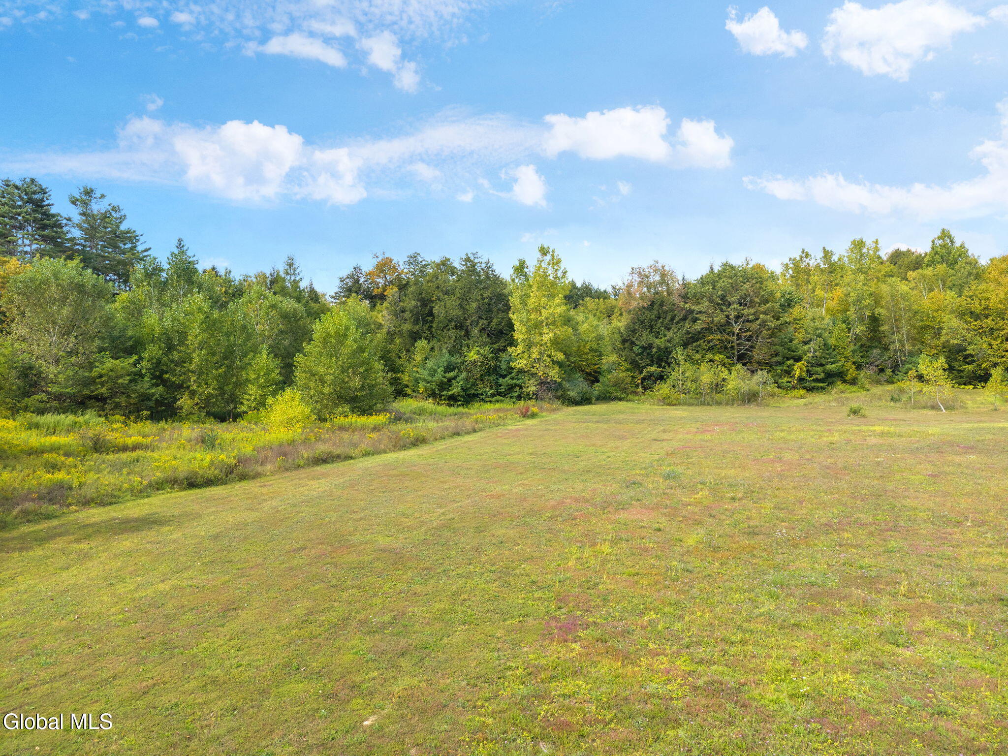 L113 Hemlock Ridge Way Stephentown, NY 12168 - Photo 5 of 11 4-00HemlockRidgeWay_04