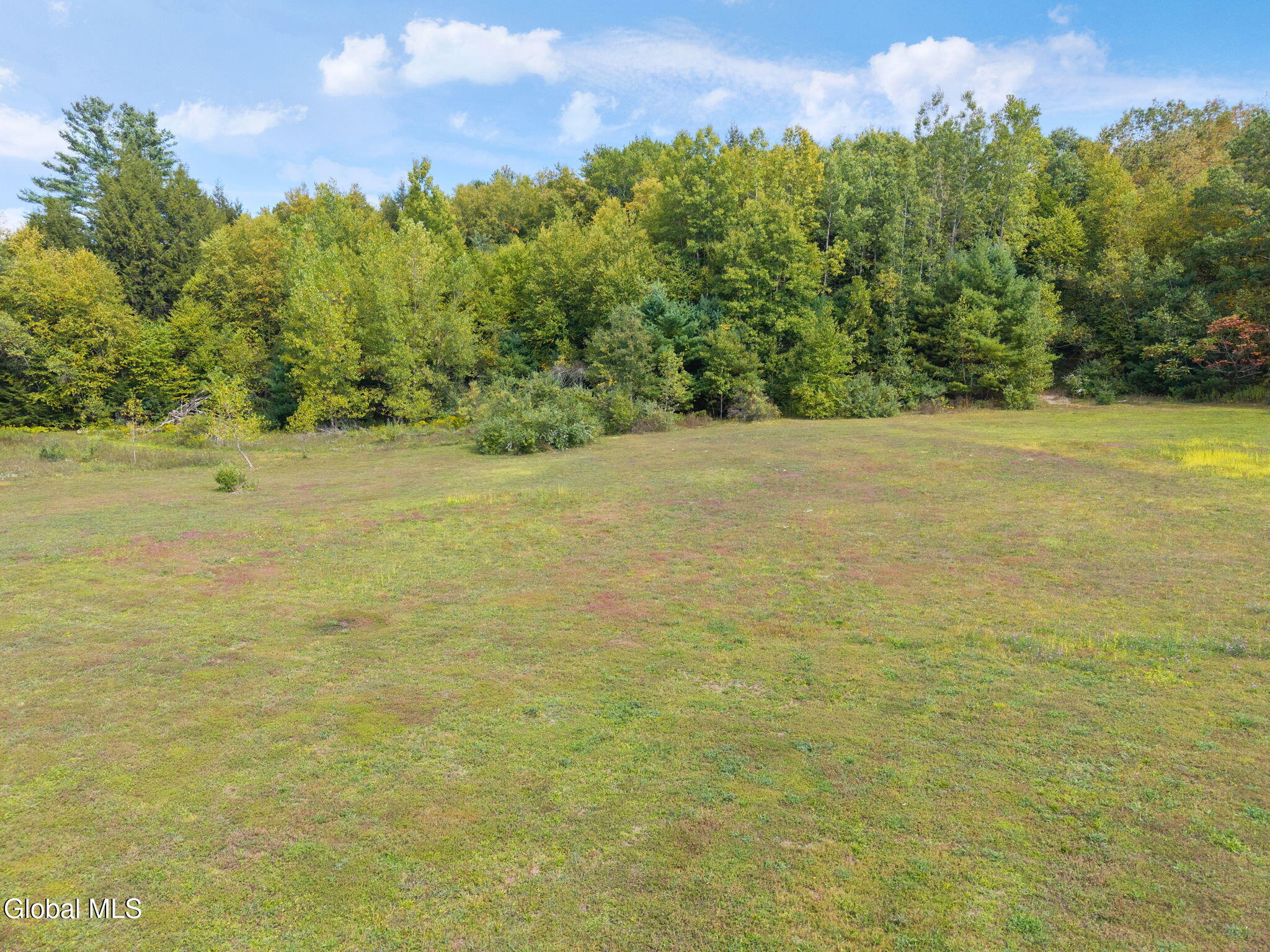 L113 Hemlock Ridge Way Stephentown, NY 12168 - Photo 6 of 11 5-00HemlockRidgeWay_05