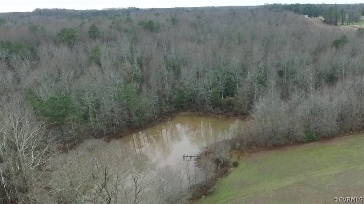0 Connie Hall Road Montpelier, VA 23192 - Photo 3 of 7 Gallery Image 3