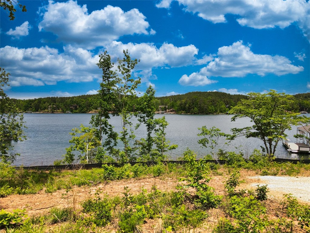 668 Gap Hill Road Six Mile, SC 29682 - Photo 11 of 31 Gallery Image 11