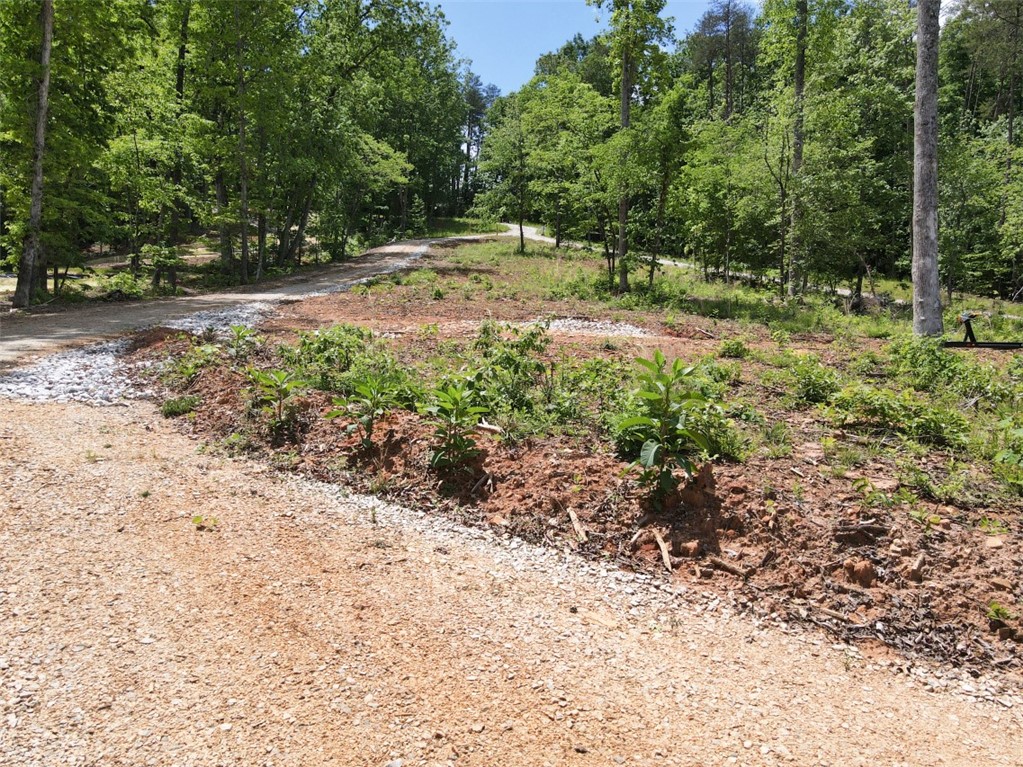 668 Gap Hill Road Six Mile, SC 29682 - Photo 12 of 31 Gallery Image 12