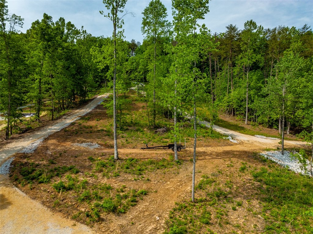 668 Gap Hill Road Six Mile, SC 29682 - Photo 20 of 31 Gallery Image 20