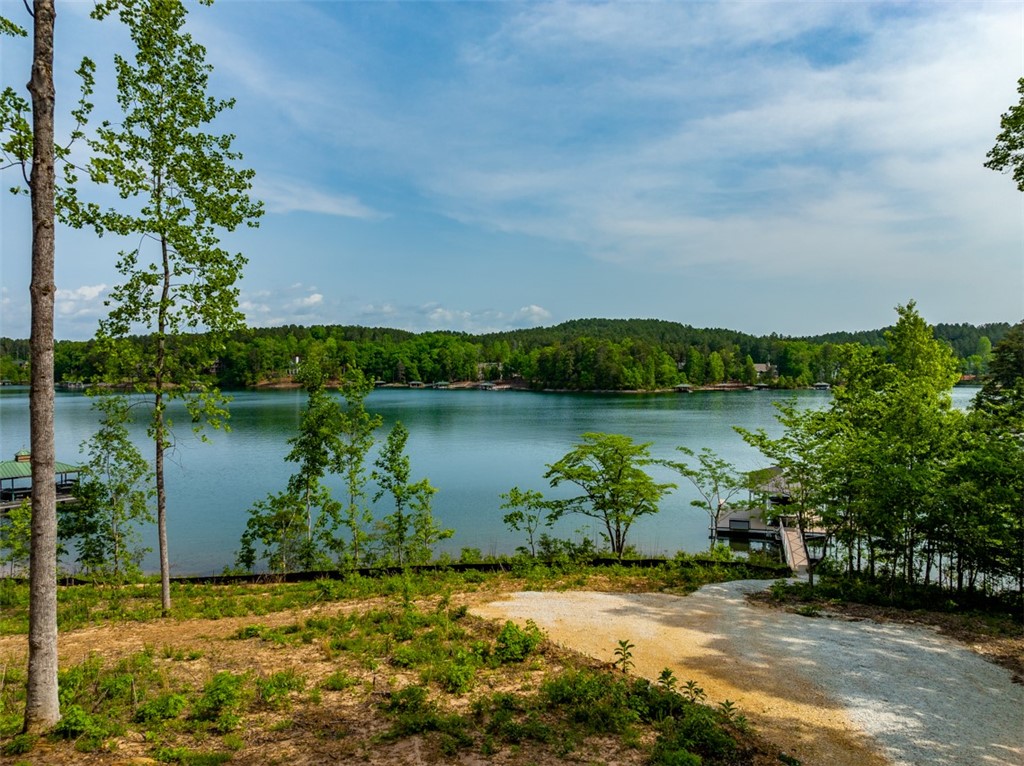 668 Gap Hill Road Six Mile, SC 29682 - Photo 2 of 31 Gallery Image 2