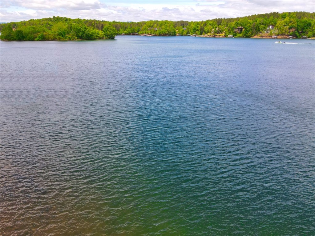 668 Gap Hill Road Six Mile, SC 29682 - Photo 6 of 31 Gallery Image 6