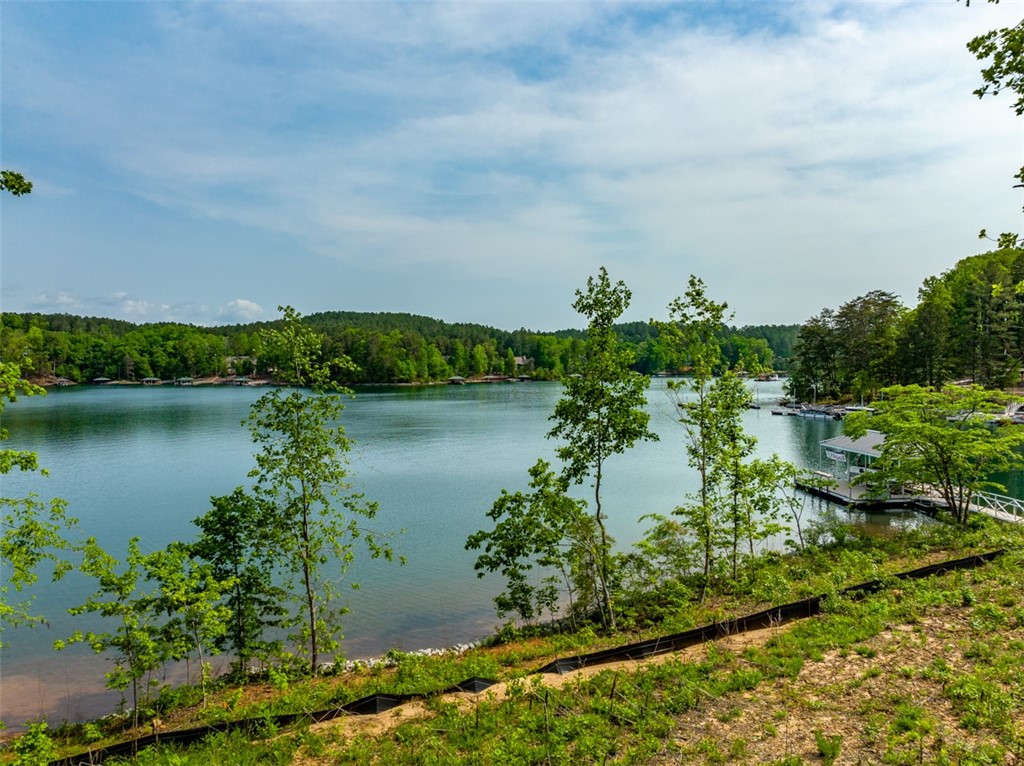 668 Gap Hill Road Six Mile, SC 29682 - Photo 8 of 31 Gallery Image 8