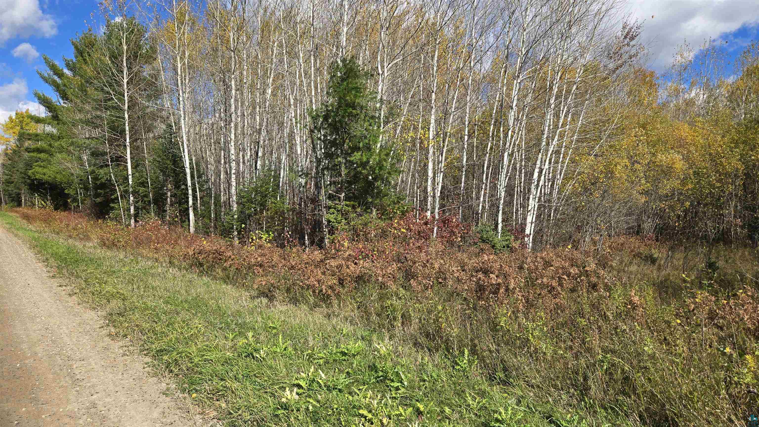 28.9 Rangeline Road Orr, MN 55771 - Photo 18 of 24 Gallery Image 18