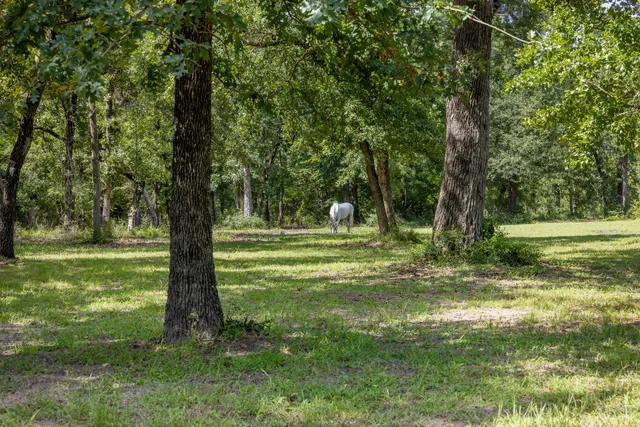 a backyard of a house with table and chairs under an umbrella