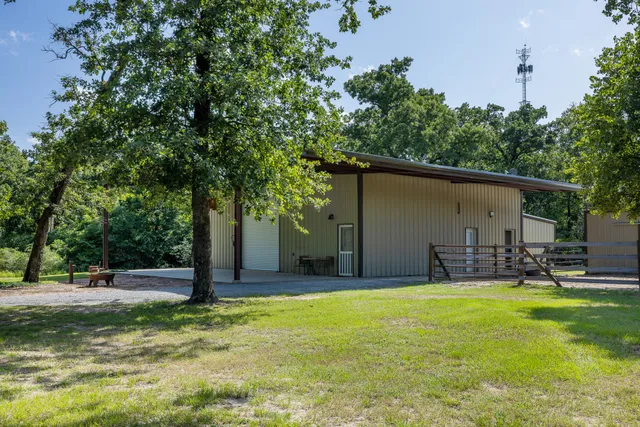 a view of a forest with trees
