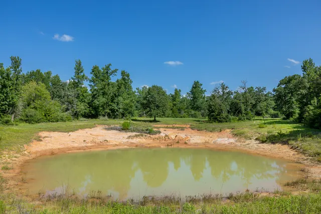a view of outdoor space and garden