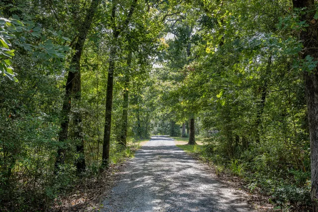 a backyard of a house with outdoor seating and green space