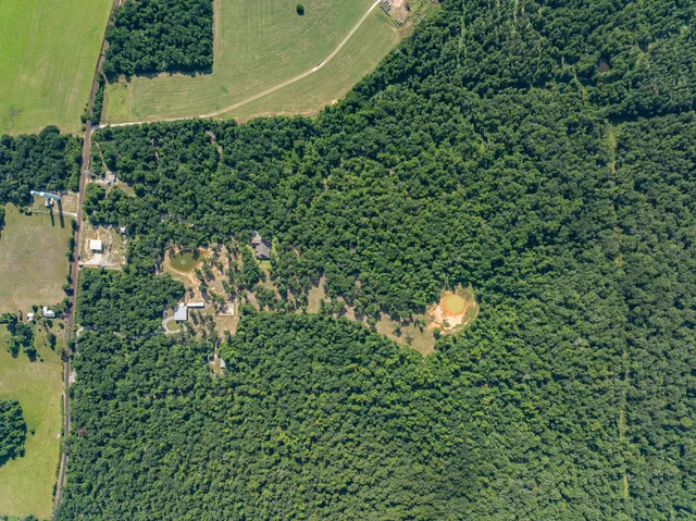 $1,585,000 | 1496 County Road 318, Centerville, TX 75833