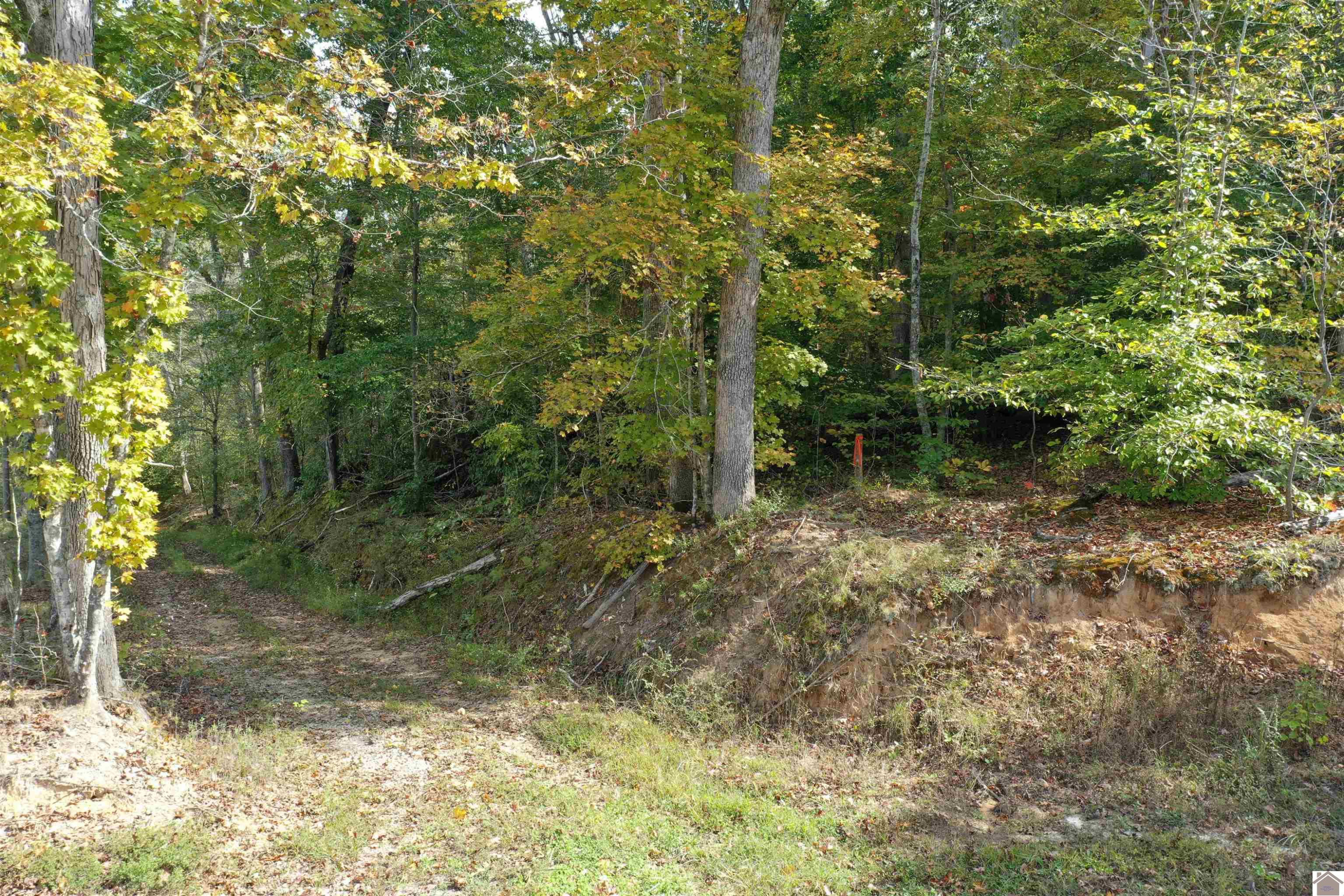 0 Archie Ortt Road, Unit FARM 4 Princeton, KY 42445 - Photo 9 of 22 Photo 9
