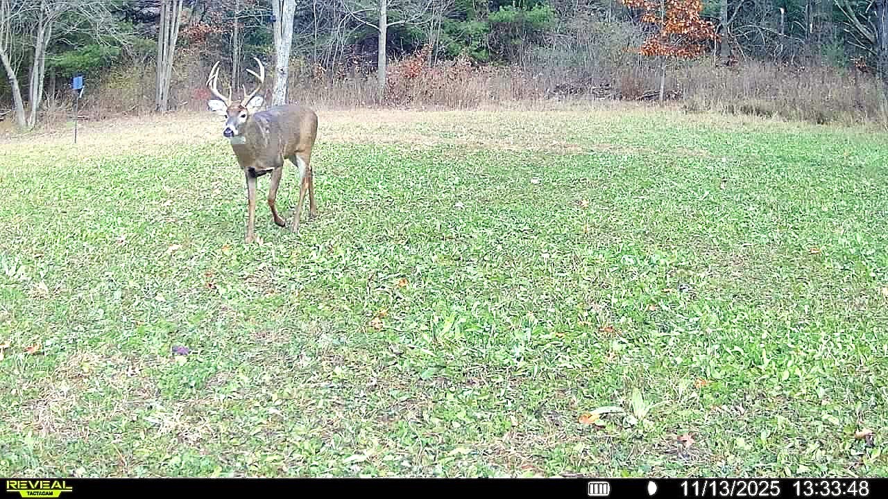 N7324 South Sechlerville Road Hixton, WI 54635 - Photo 36 of 40