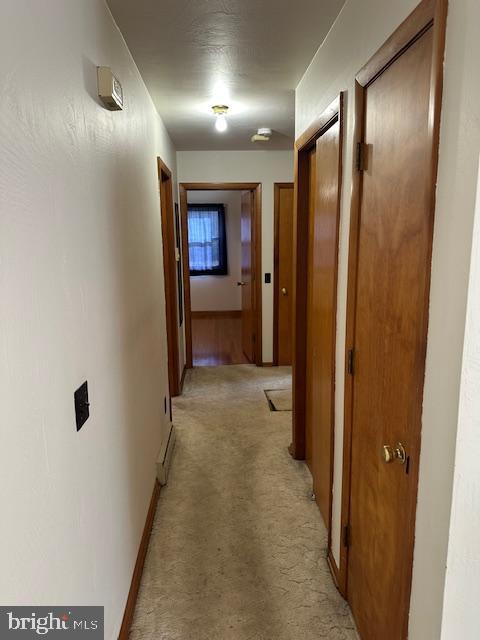 45 Co Rte 220/3 Upper Tract, WV 26866 - Photo 11 of 38