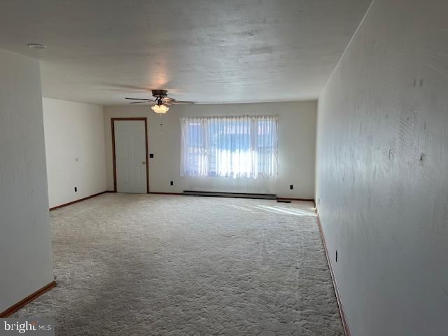 45 Co Rte 220/3 Upper Tract, WV 26866 - Photo 9 of 38