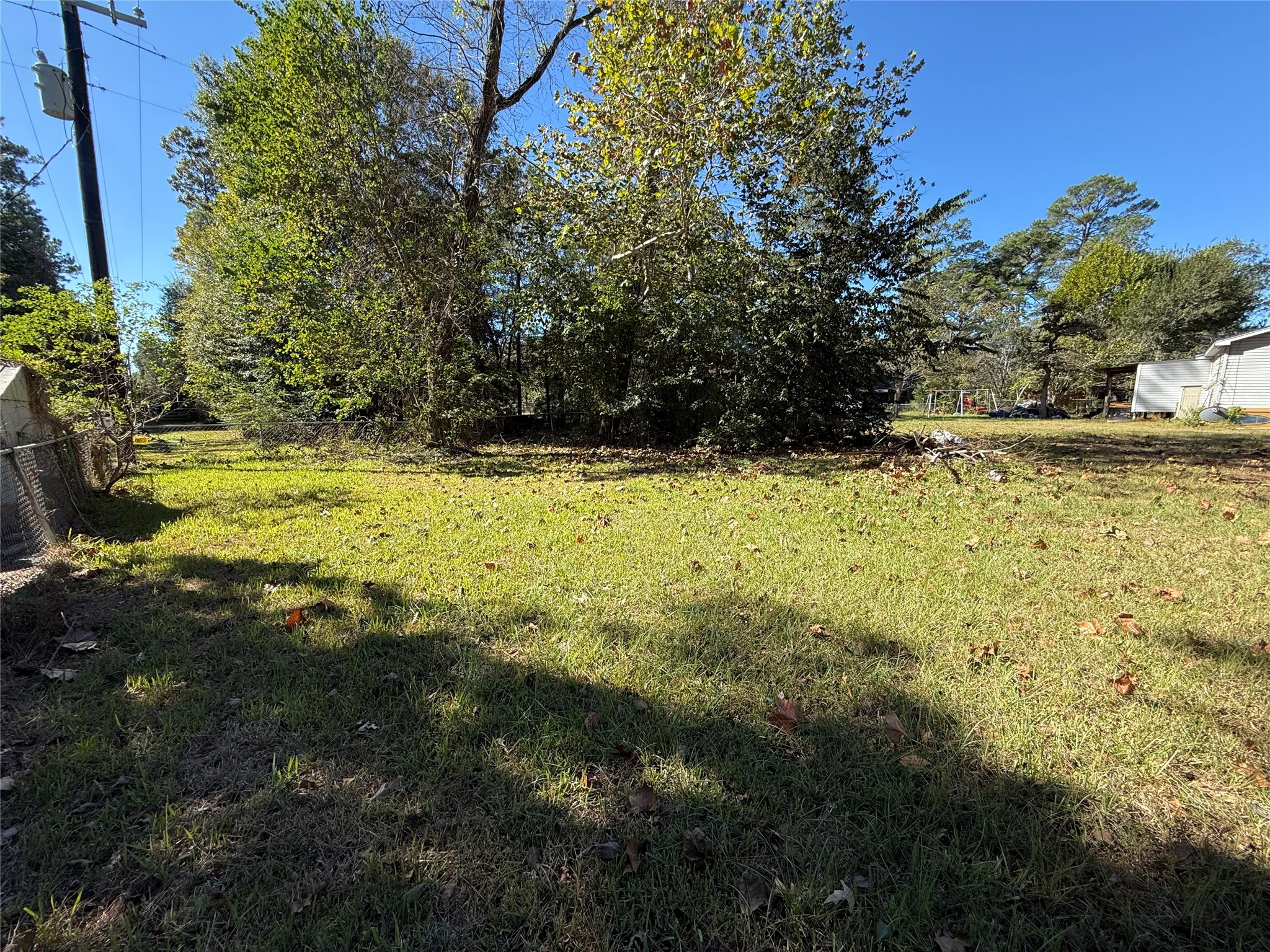 a view of a yard with large trees