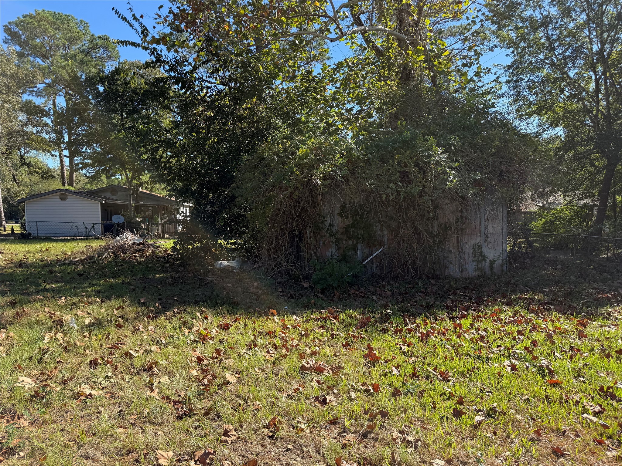 Lot 1 Easy Street Magnolia, TX 77355 - Photo 8 of 9 a view of backyard with tree