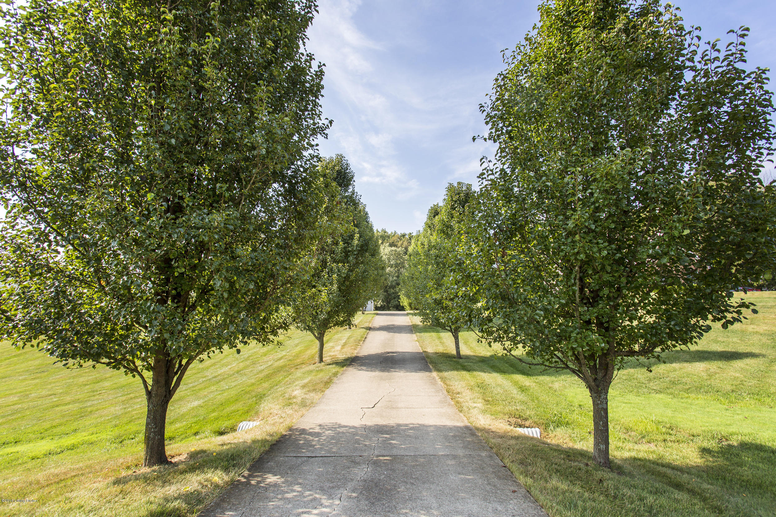 4504 Stone Ridge Road Crestwood, KY 40014 - Photo 3 of 45 Take the tree lined drive back to this lovely 2-story home.