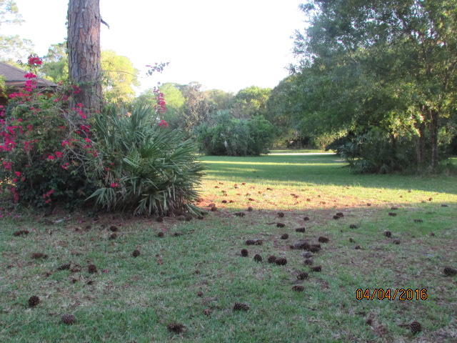 8720 Hidden Pines Road Fort Pierce, FL 34945 - Photo 29 of 31 29 yard 2