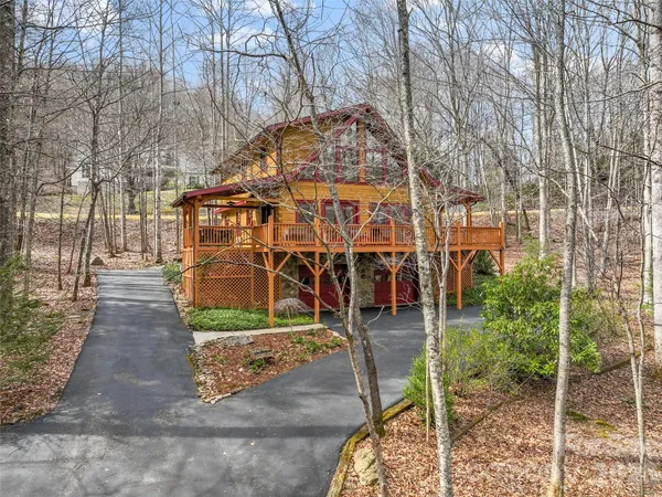 a view of a yard with plants and trees
