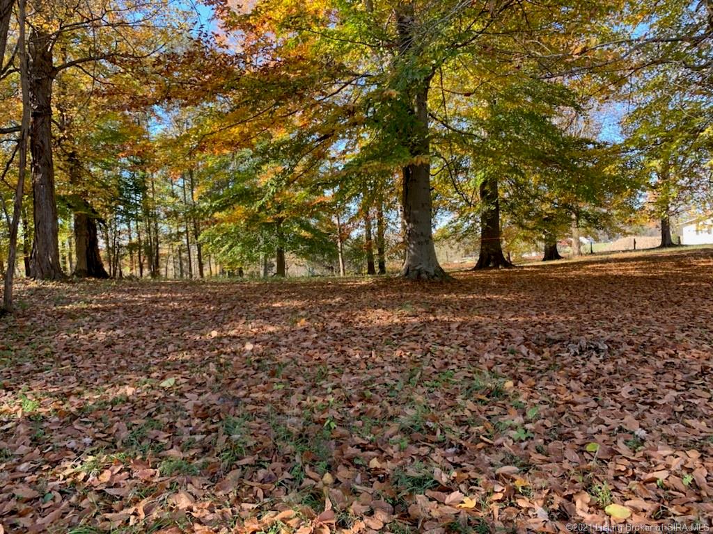 Cooks Mill Road Georgetown, IN 47122 - Photo 4 of 5