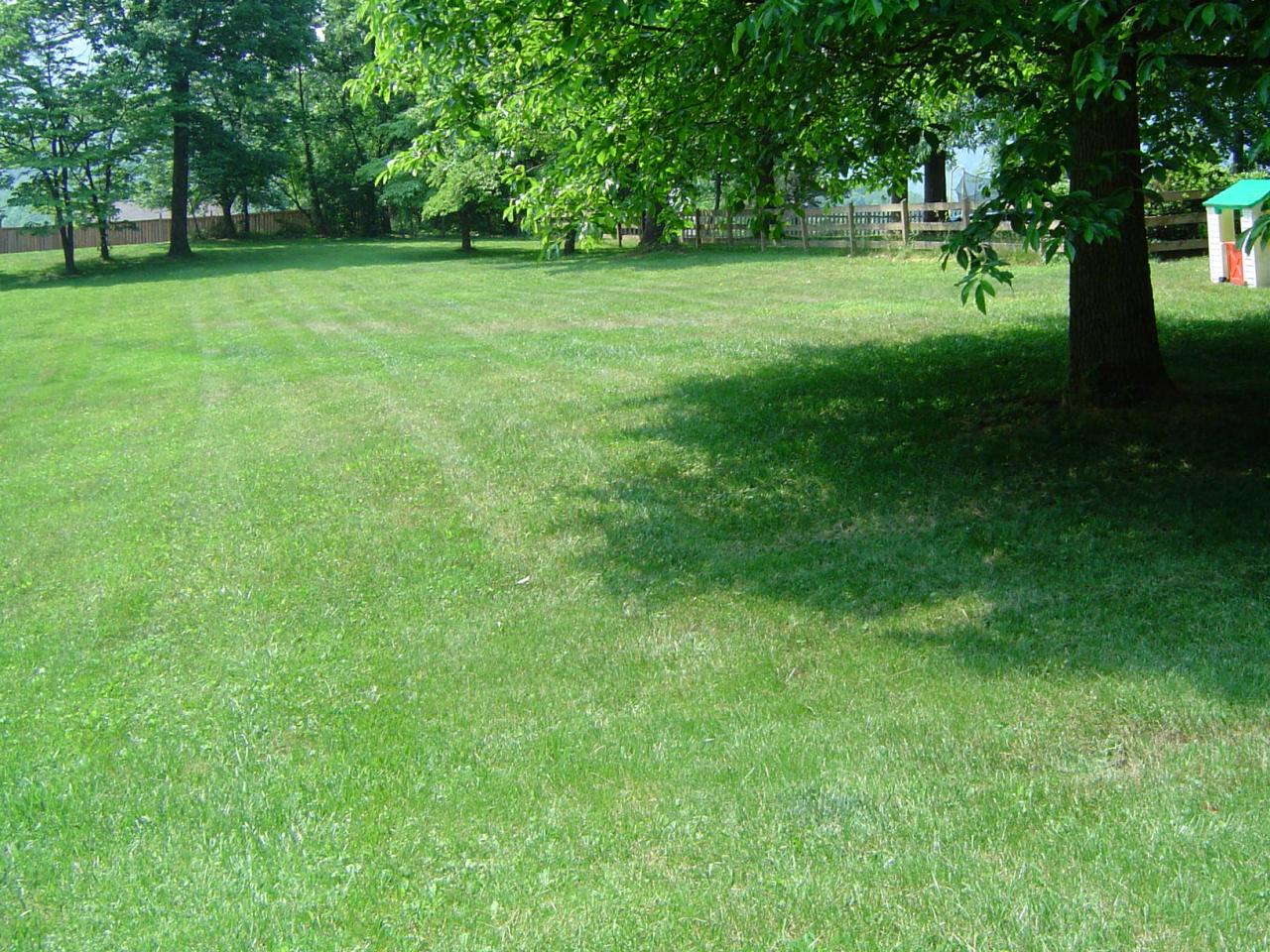 7893 Cedar Edge Road Roanoke, VA 24018 - Photo 19 of 32 21