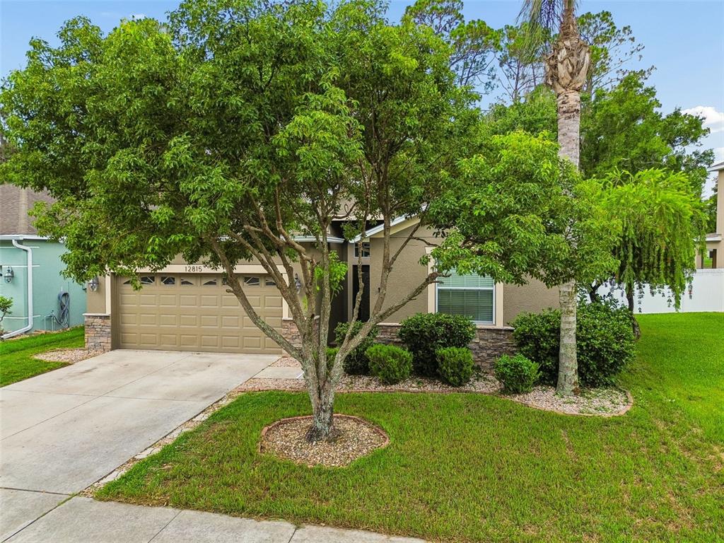 12815 White Bluff Road Hudson, FL 34669 - Photo 57 of 65