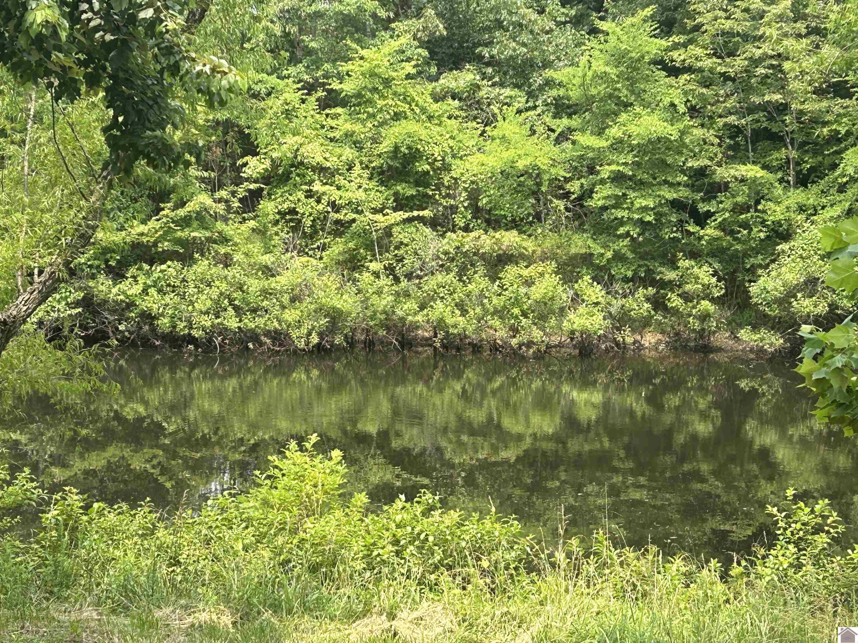 142 Frankfort Road Benton, KY 42025 - Photo 6 of 27 POND