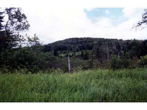 0 Kirby Mountain Road Kirby, VT 05851 - Photo 2 of 2 Gallery Image 2